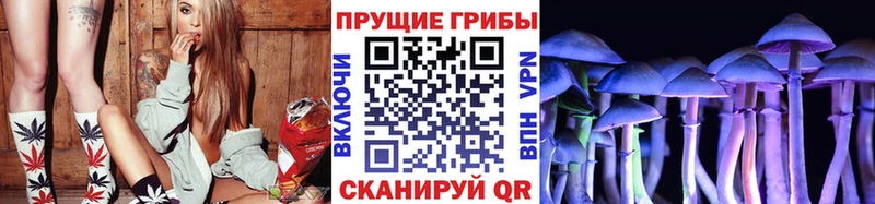 Галлюциногенные грибы мицелий  Купить закладки  Заводоуковск 